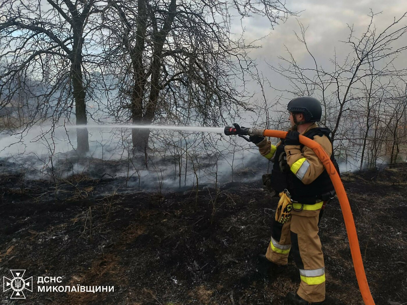 Пожары в Николаевской области
