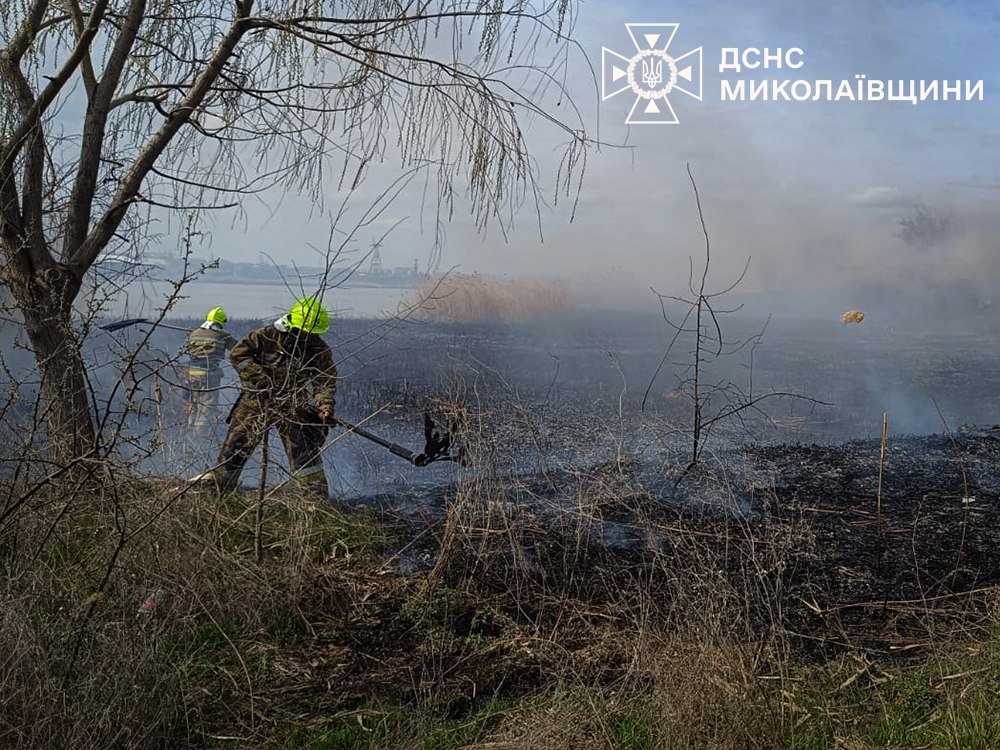Пожар в Николаевской области