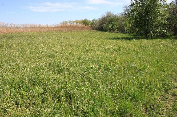 «Ковалевские плавные»