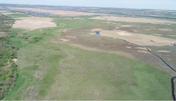 «Ковалевские плавные»