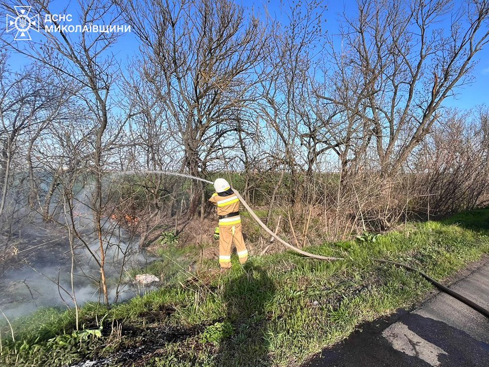 Пожары в Николаевской области
