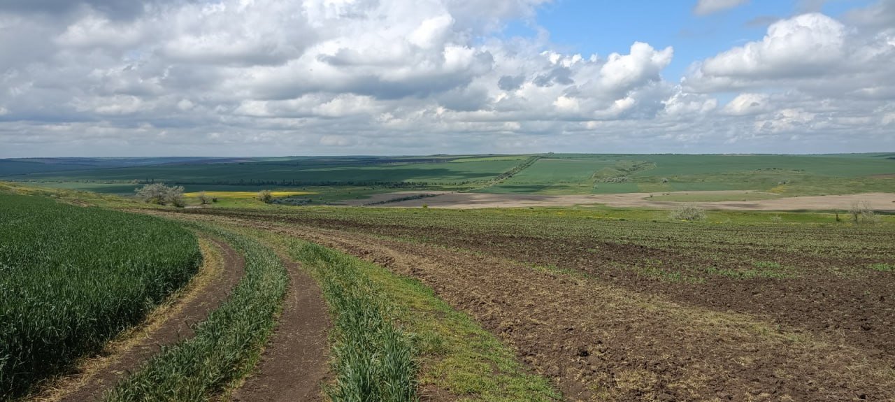 В Николаевской области незаконно распахали земли