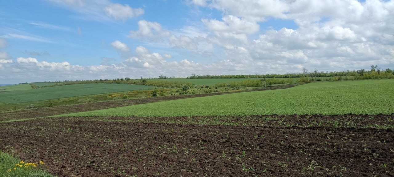 В Николаевской области незаконно распахали земли