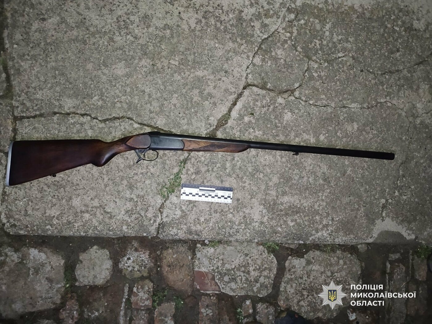 В Николаевской области мужчина застрелил соседского щенка