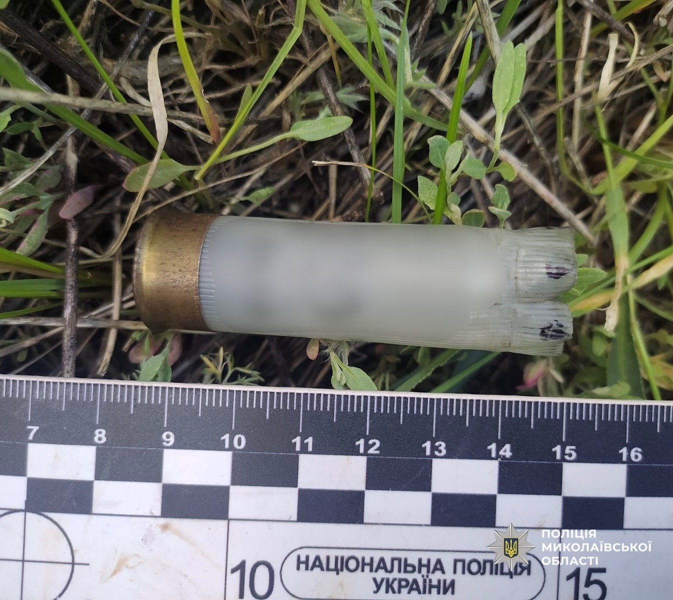 В Николаевской области мужчина застрелил соседского щенка