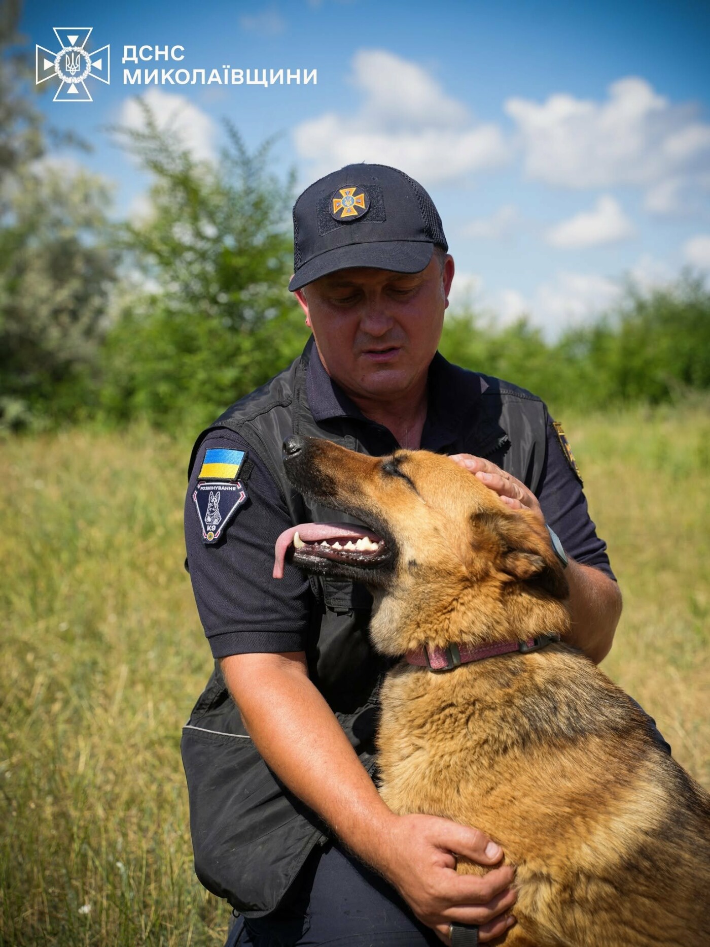 В Николаевской области служебные собаки помогают саперам