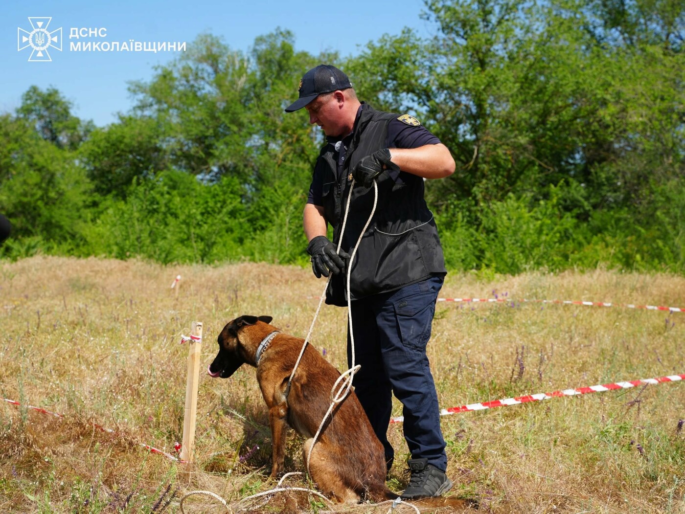 В Николаевской области служебные собаки помогают саперам