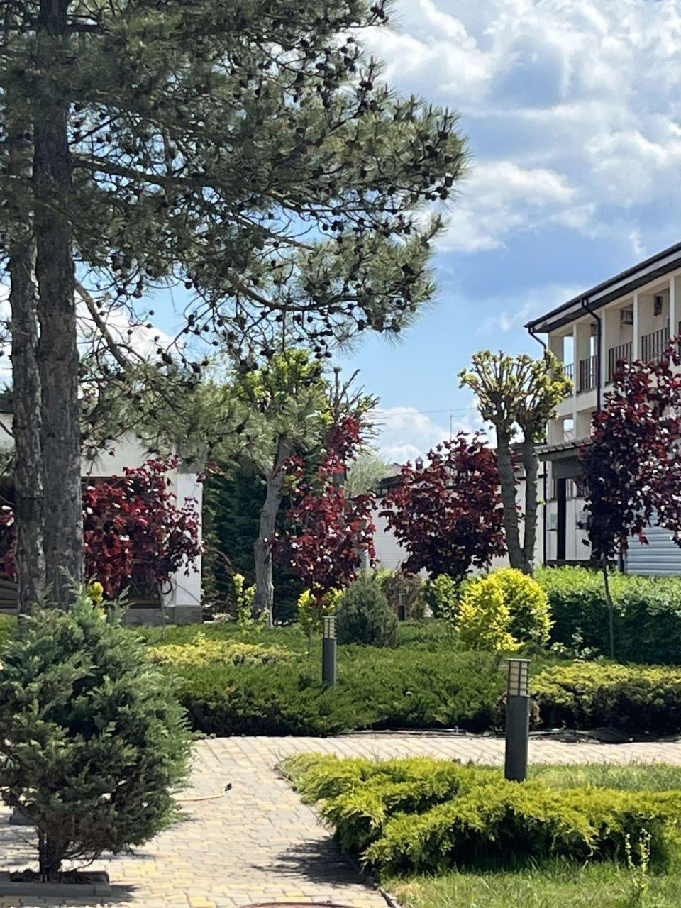 Літній відпочинок у Миколаєві 2026: шукаємо нові враження та перезавантаження, фото-15