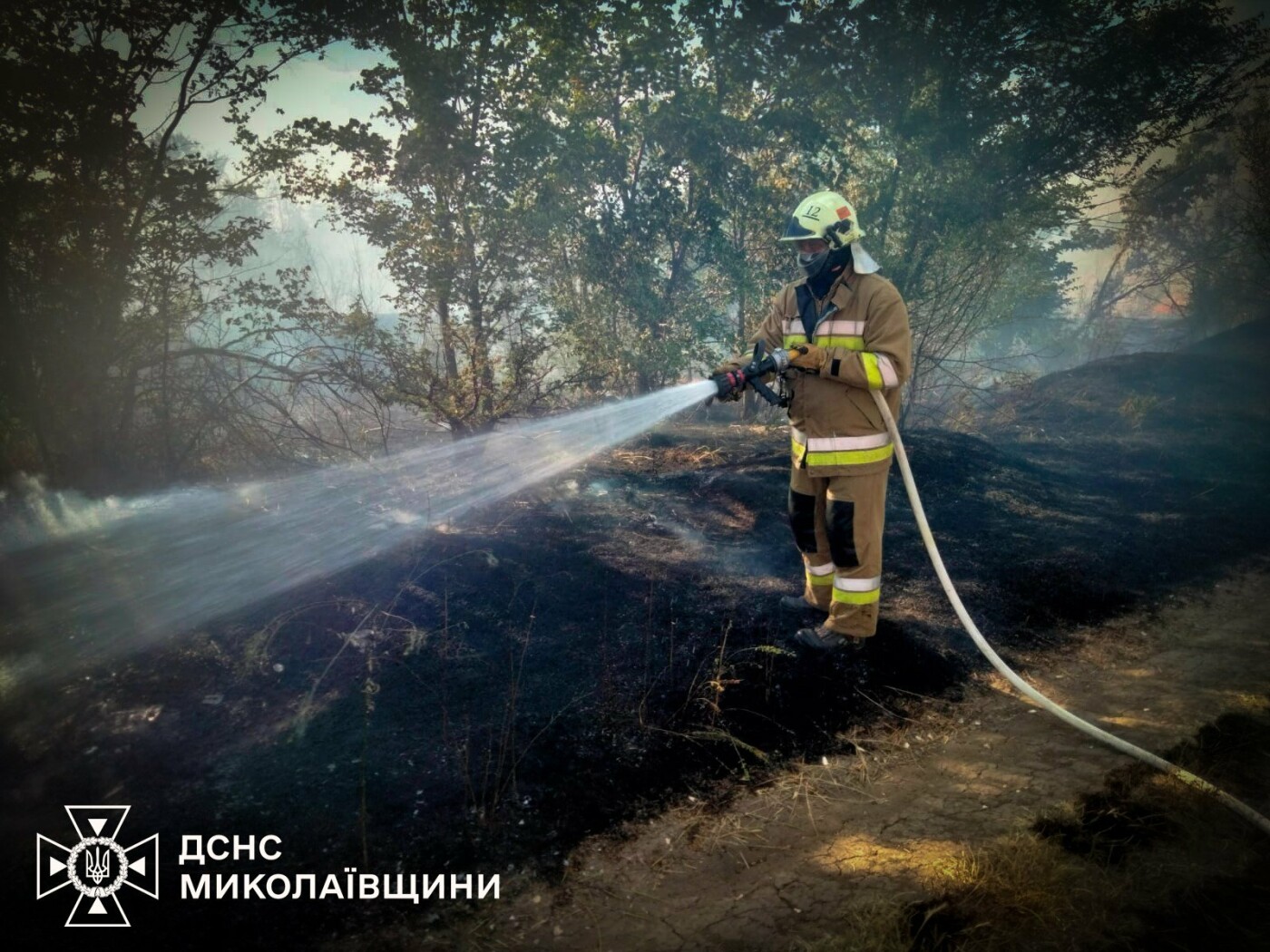 Пожары в Николаевской области
