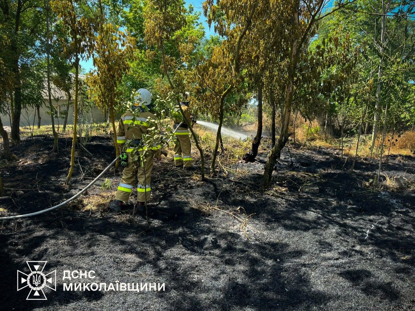Пожары на Мик