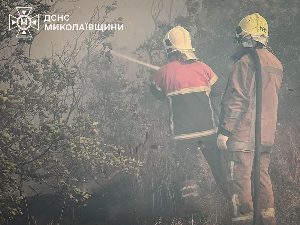 Пожары в Николаевской области