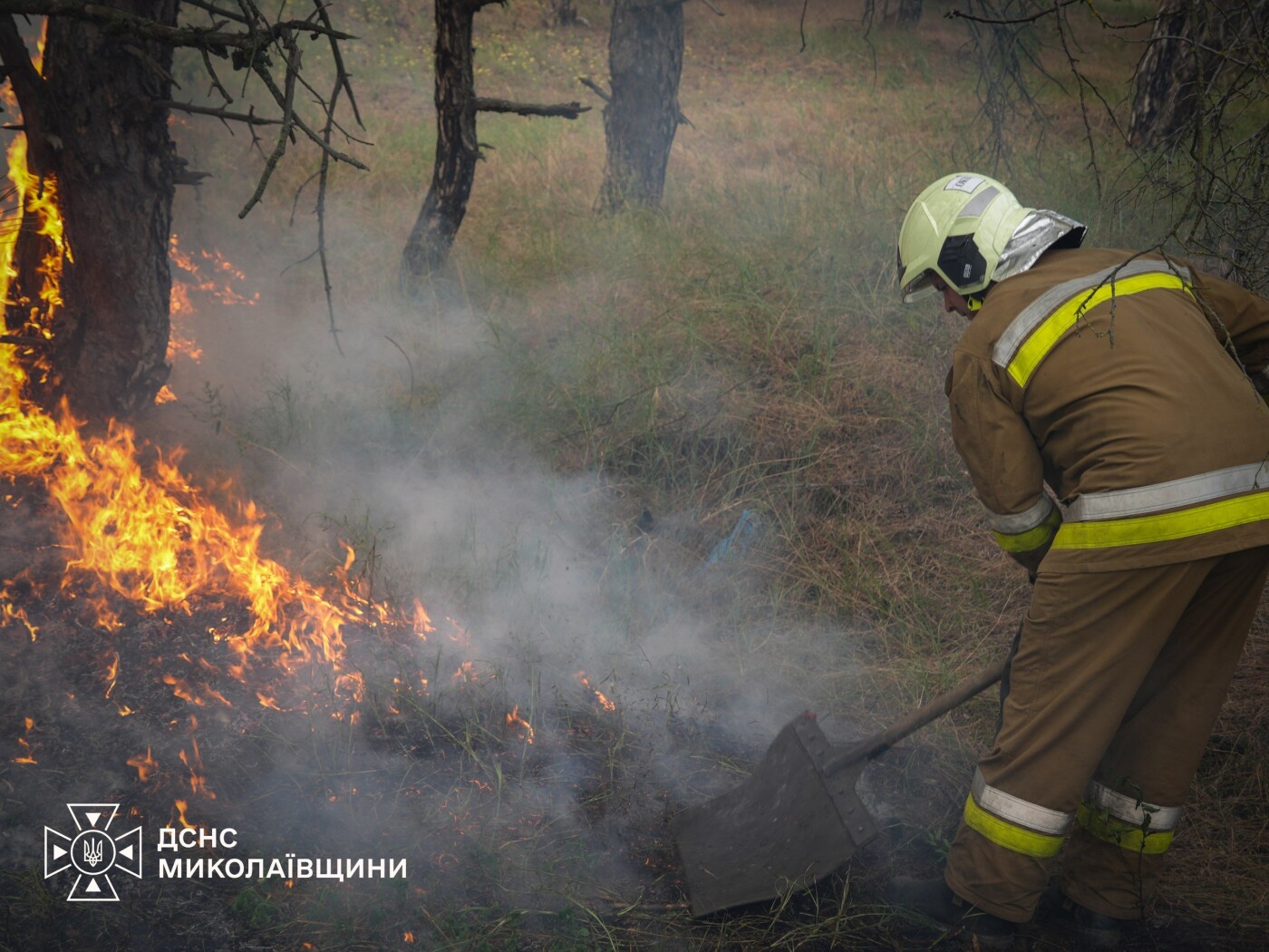 Пожежі на Миколаївщині Пожежі на Миколаївщині
