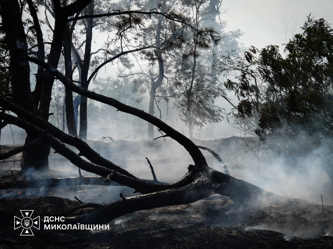 Пожежі на Миколаївщині Пожежі на Миколаївщині