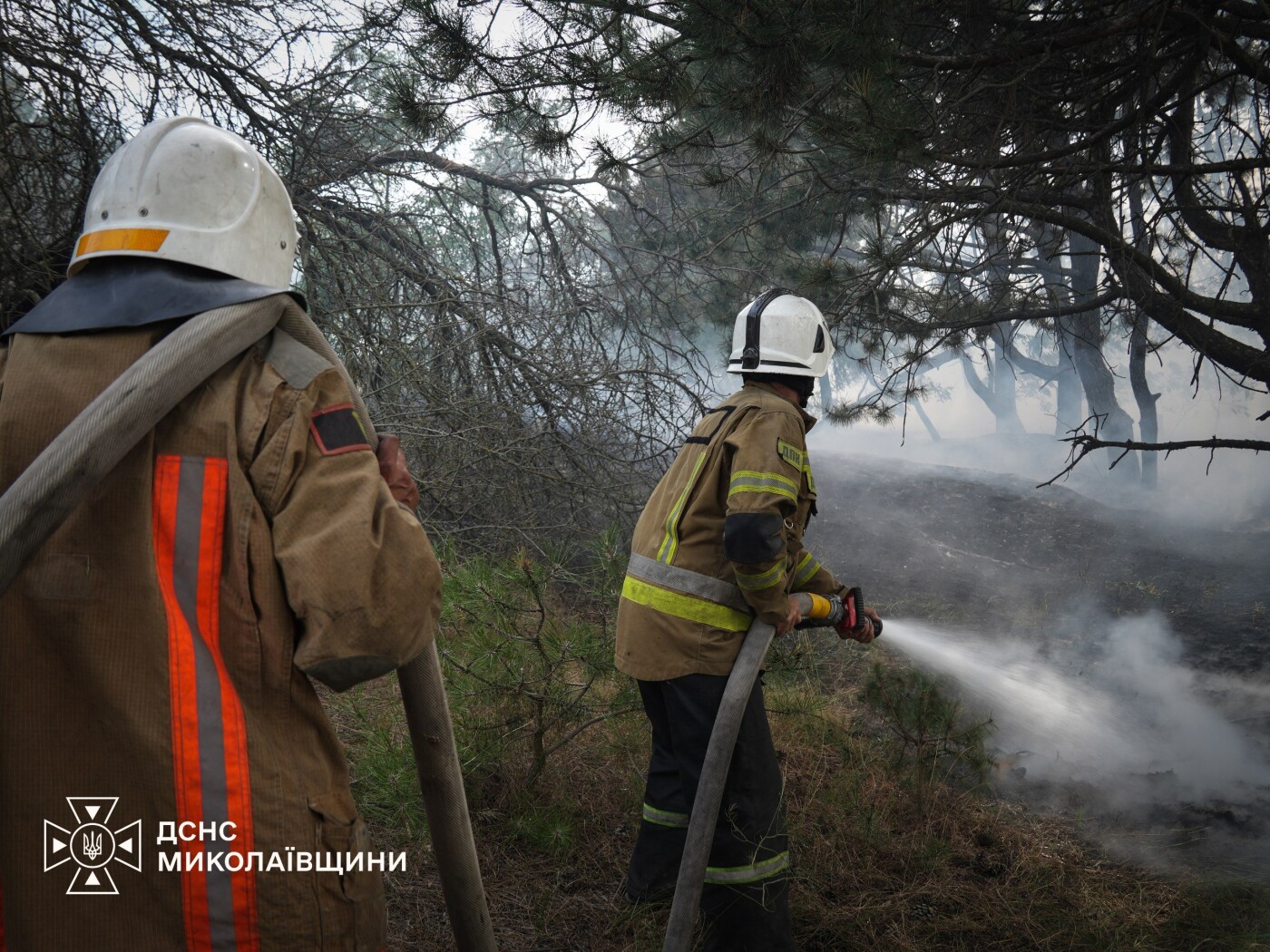 Пожежі на Миколаївщині Пожежі на Миколаївщині
