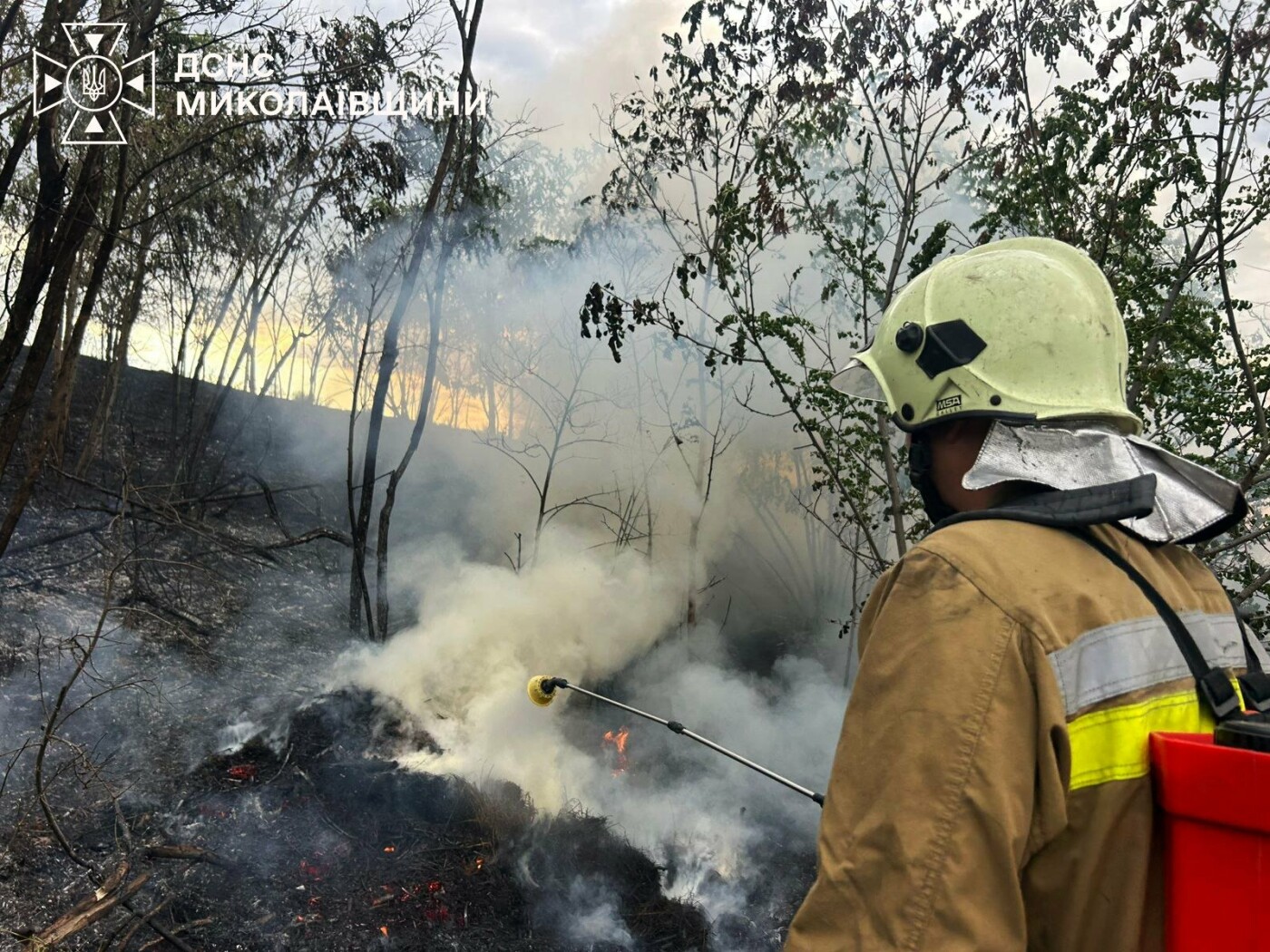 Пожары в Николаевской области