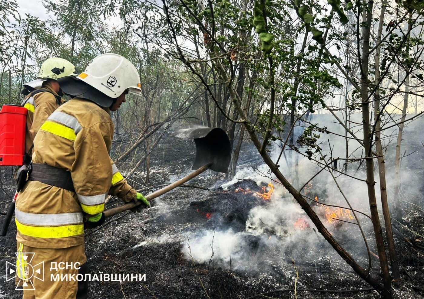 Пожары в Николаевской области