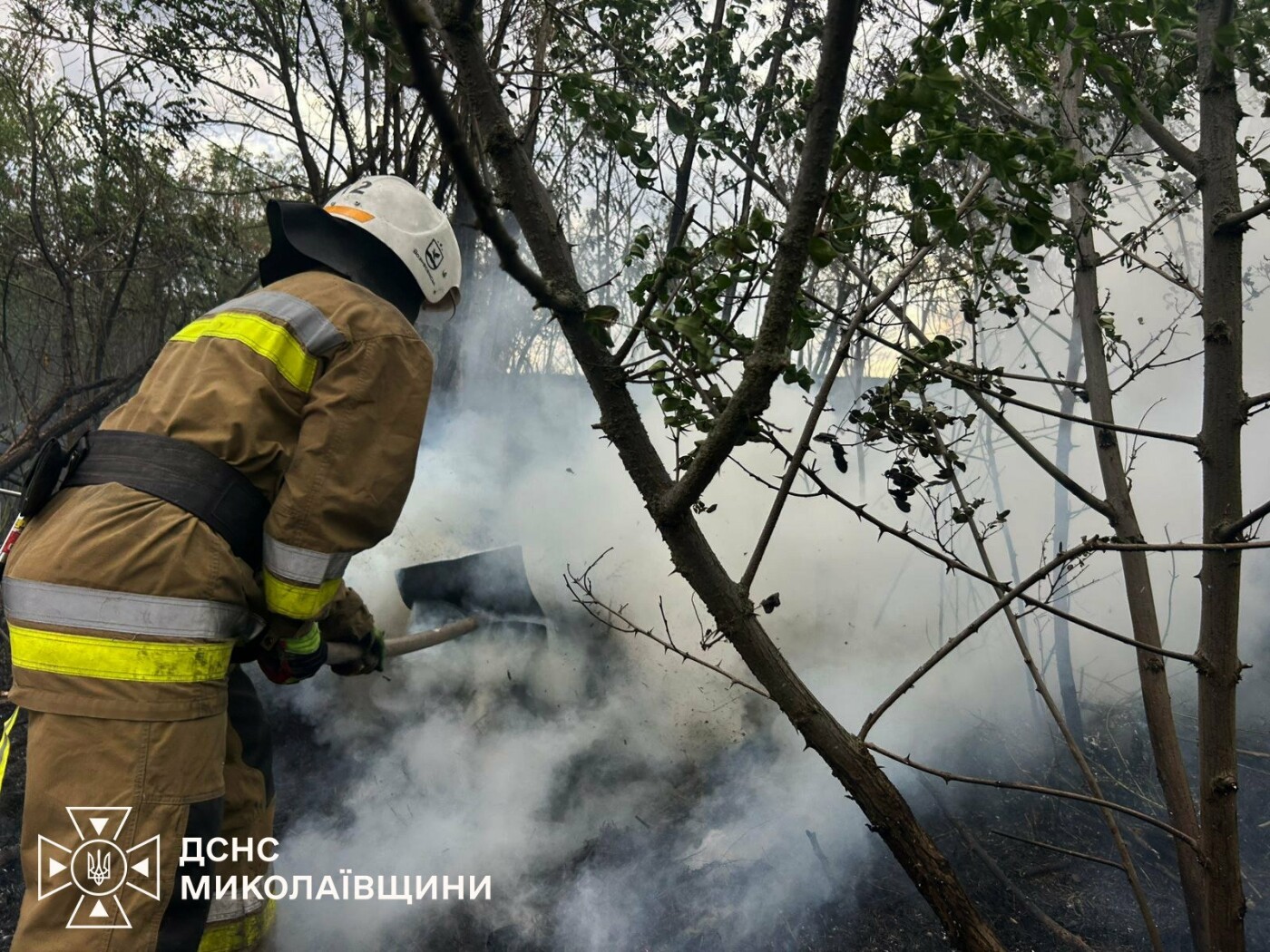 Пожары в Николаевской области