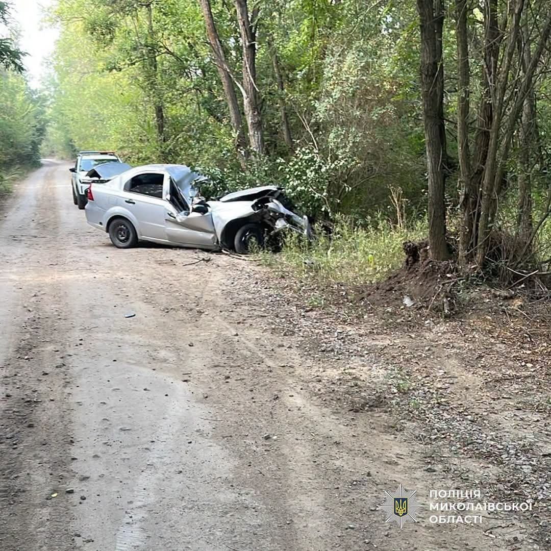 ДТП в Николаевской области