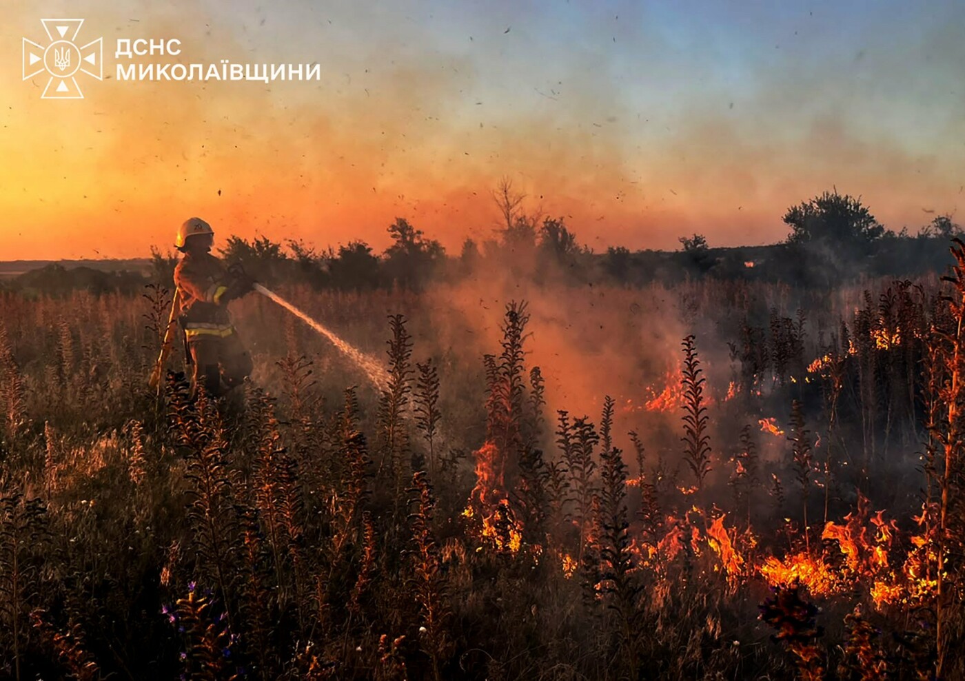 Пожары в Николаевской области