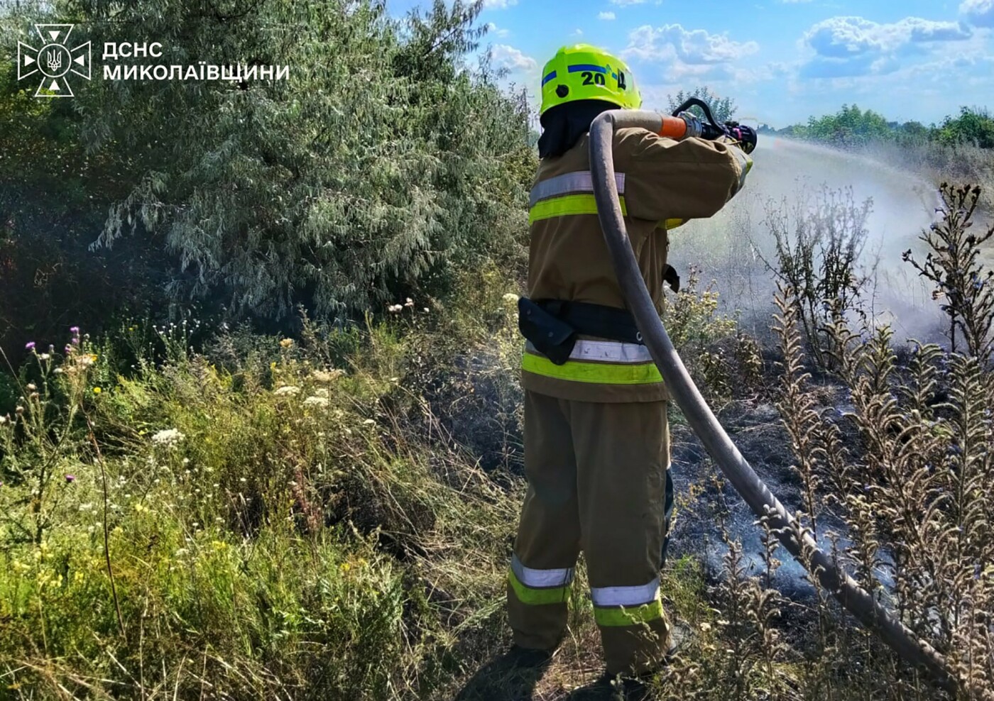 Пожары в Николаевской области