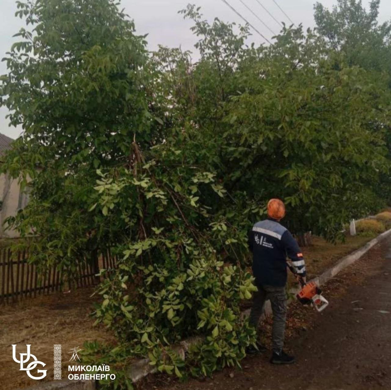 В Николаевской области ремонтируют электросети.
