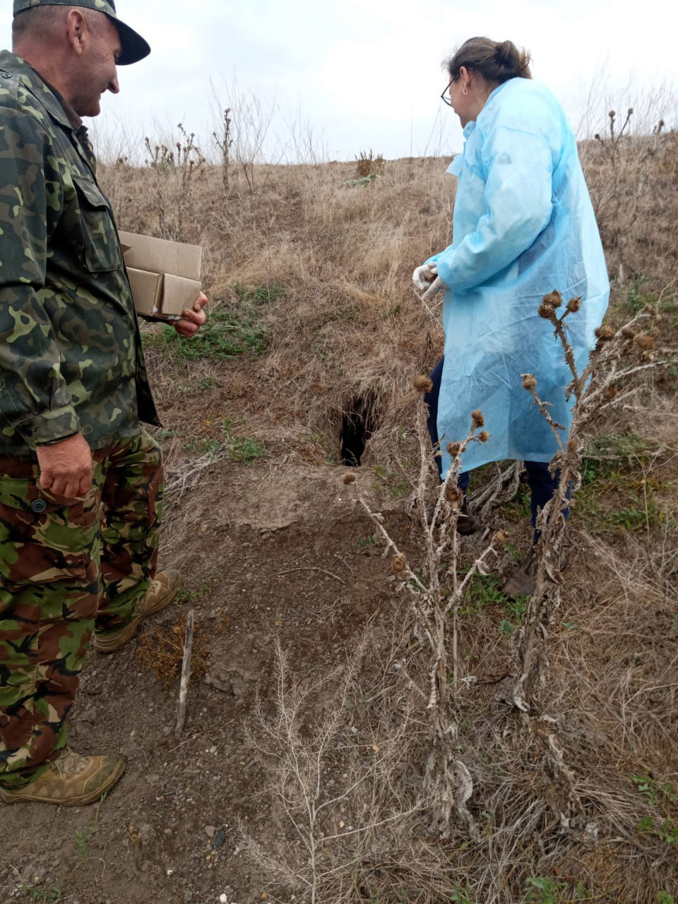 Вакцинація тварин Миколаївська область.