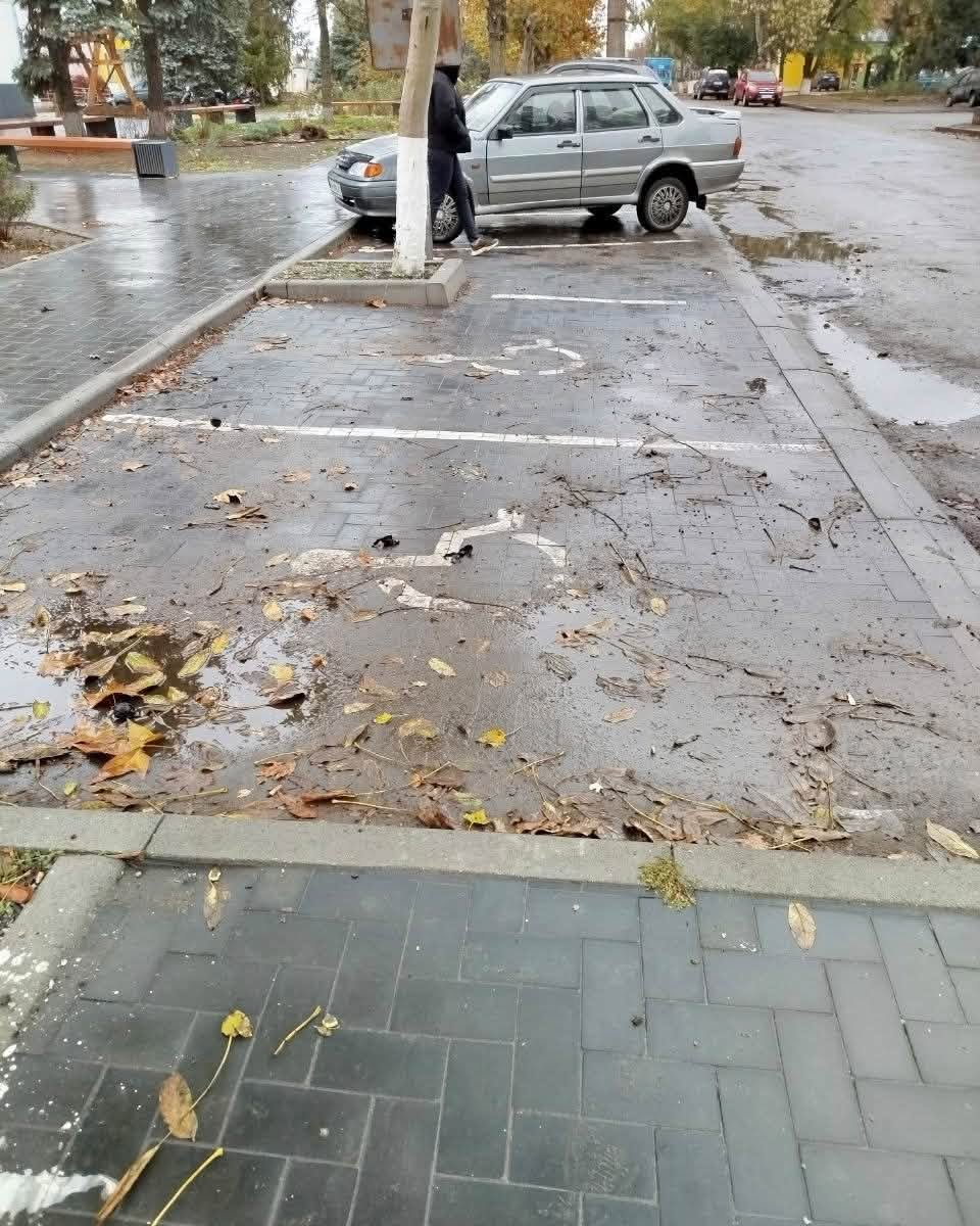 Проверка доступности парковок в Николаевской области