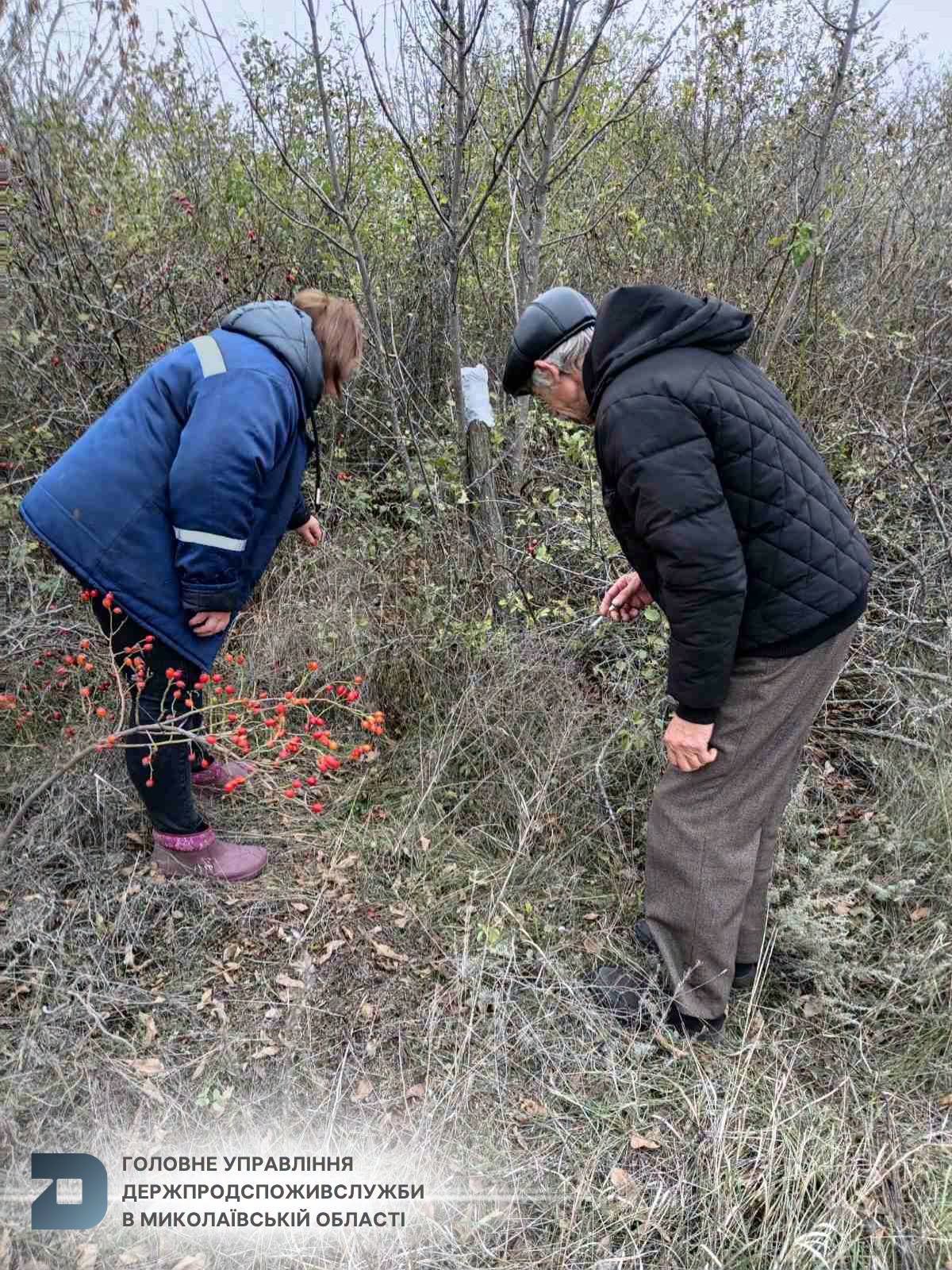 На территории Николаевской области проводится осенняя кампания