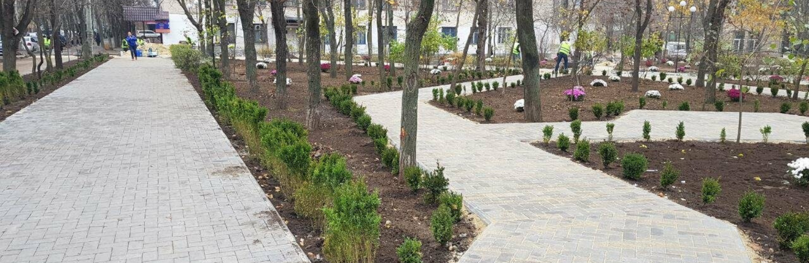В Николаеве на уход за скверами по проспекту Центральному потратят почти 8 миллионов,- ТЕНДЕР 