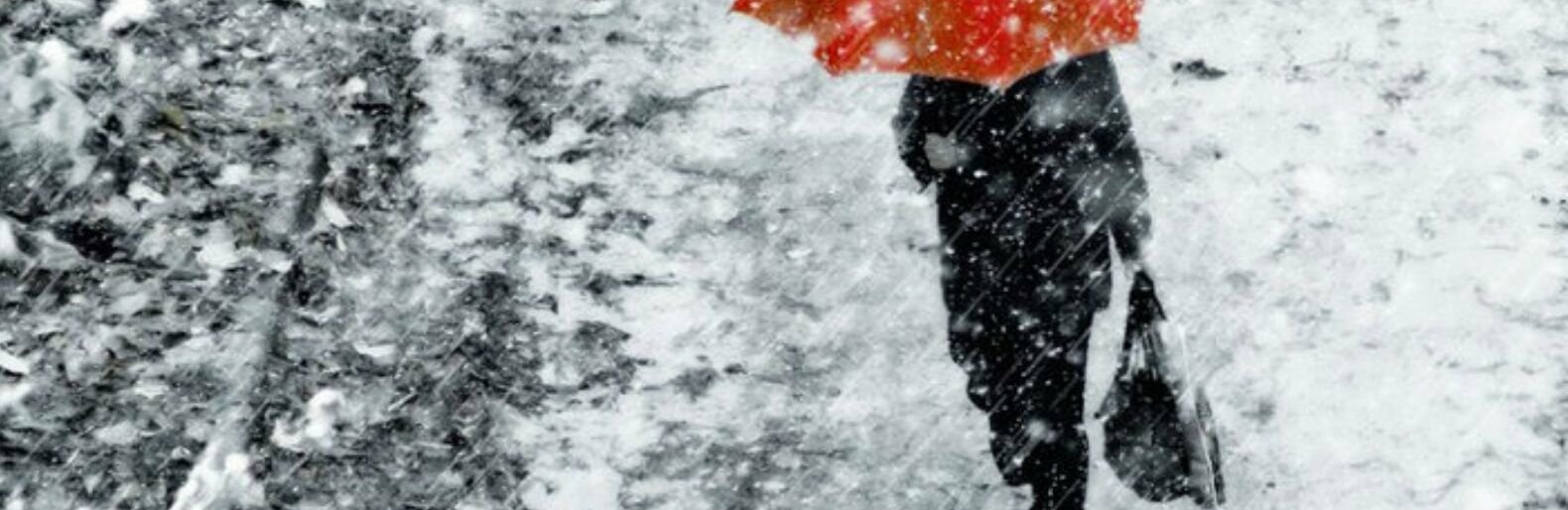 Дождь вместо снега: погода в Николаеве на 30 января