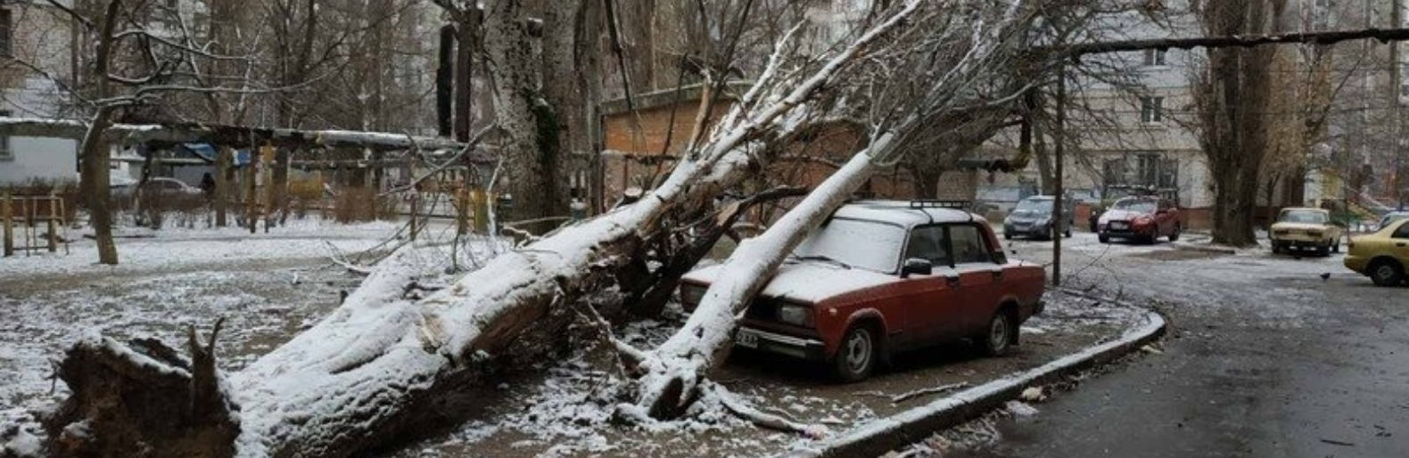 Ликвидация последствий буреломов, снеголомов, ветровалов в Николаеве обойдется в миллион