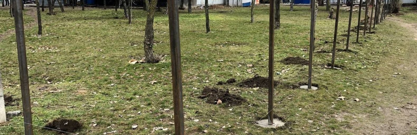 В Николаеве в “зеленой зоне” возле автовокзала сносят деревья под торговый центр, - ДОКУМЕНТ, ВИДЕО
