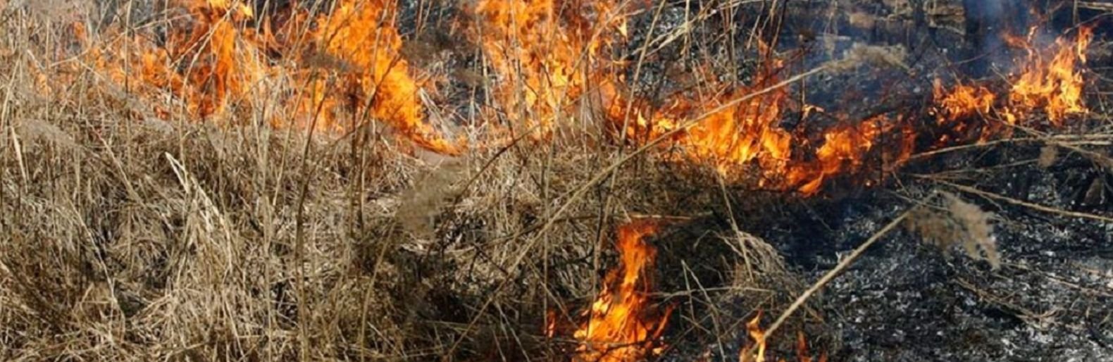 В Николаевской области высокий уровень пожарной опасности