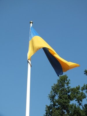 44