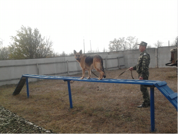 Новый_рисунок