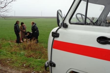 1450822_1433688290177846_768163992_n