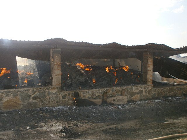 P8030024