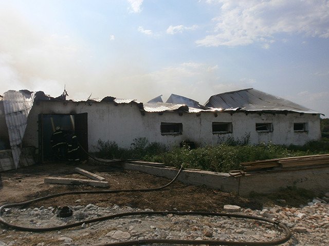 P8030015
