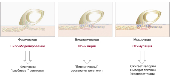 вапмкmage