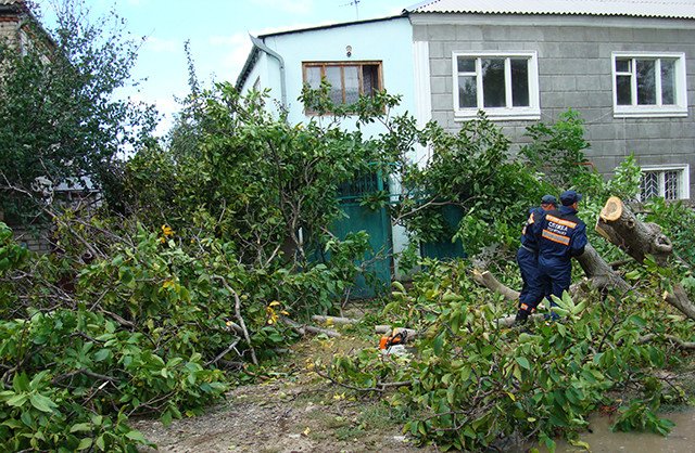 DSC06582