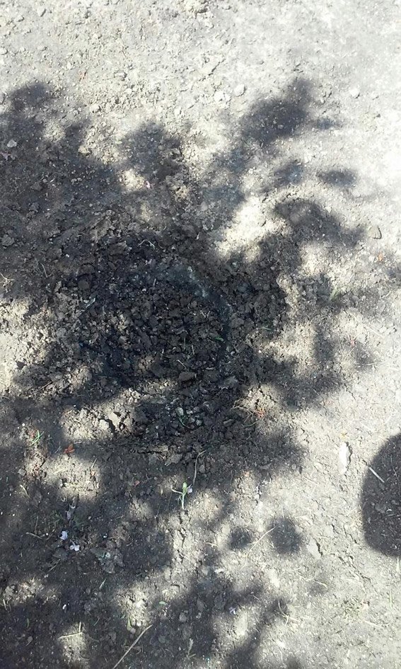 PM27image001