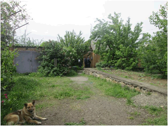 PM954image002