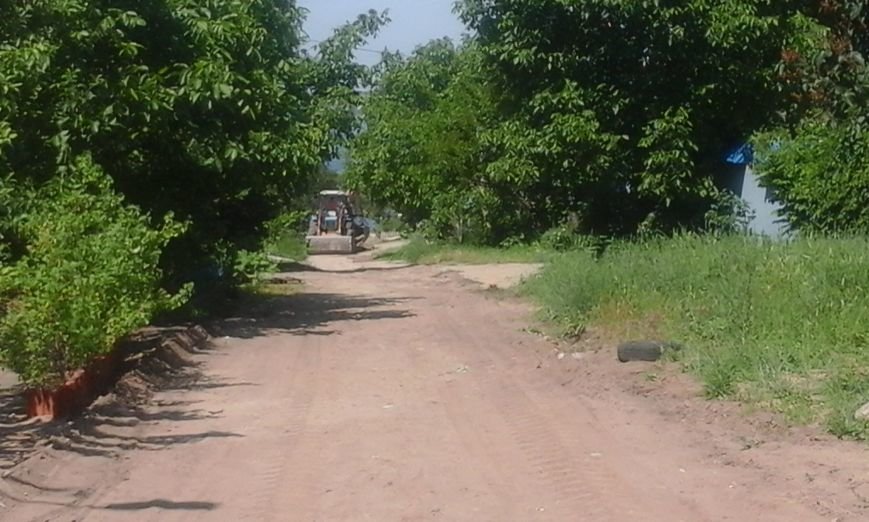 Смирнова_дорога1