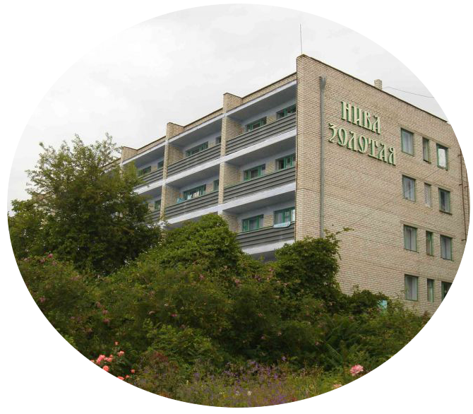 niva_zolotaja кругла картинка