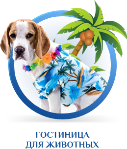 Гостица для животных